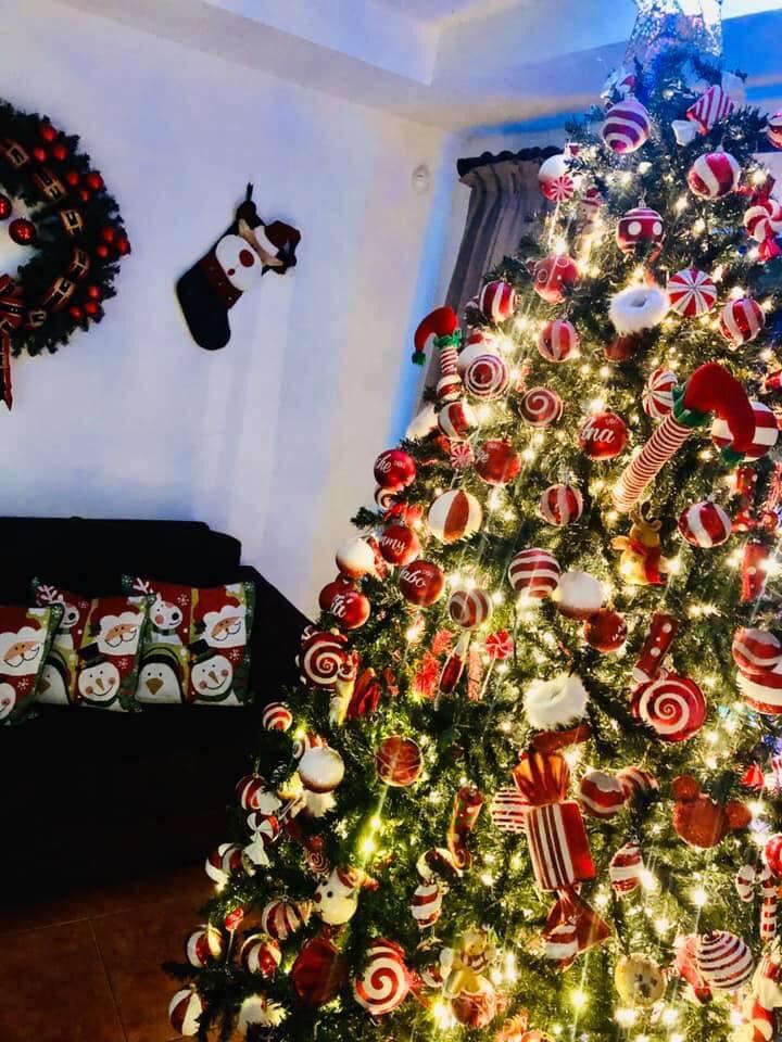 Doña Ana Yansee Flores es vecina de Curridabat, casada, tiene tres hijos y desde principios de setiembre adornó su casa. “Amo la navidad.