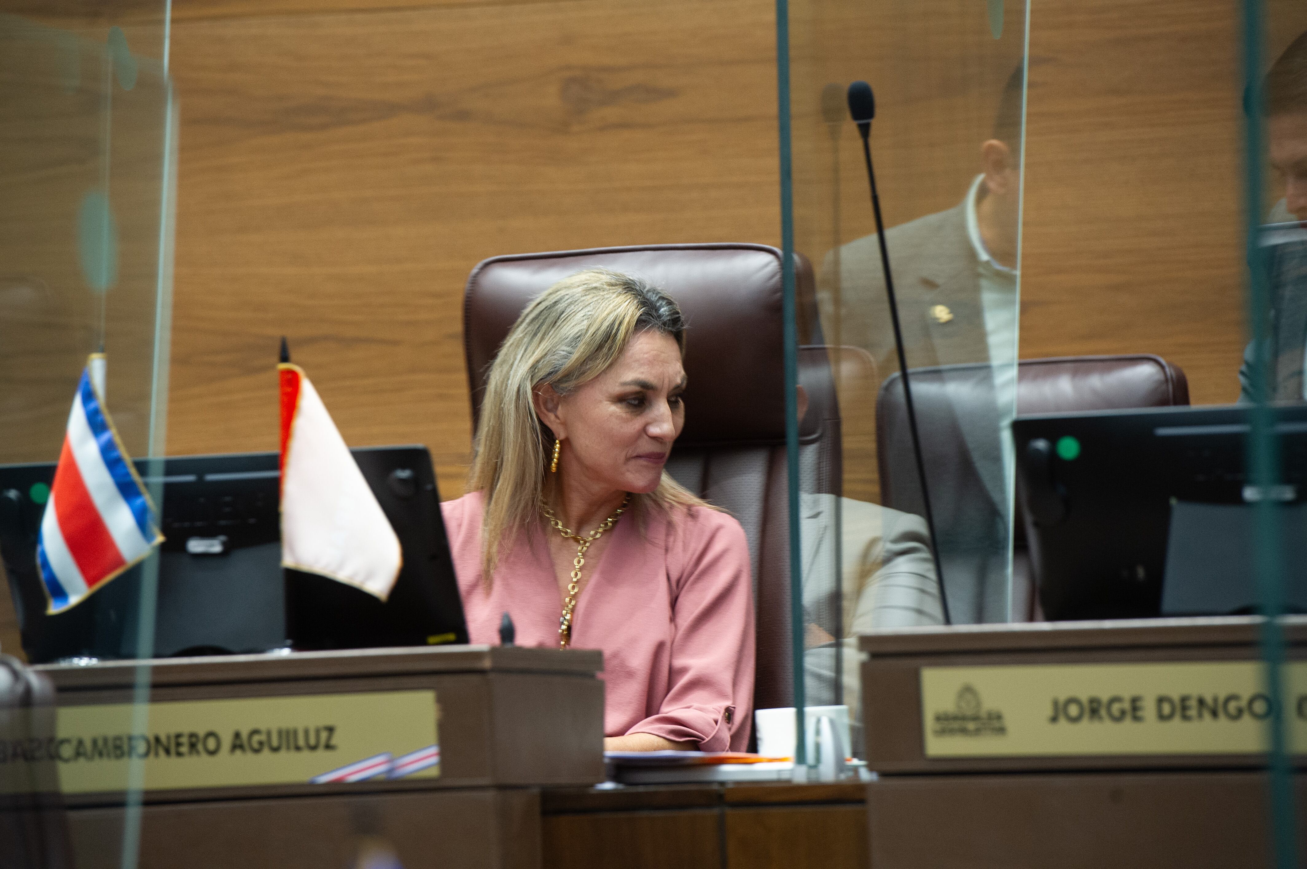 Asamblea Legislativa, Plenario Legislativo