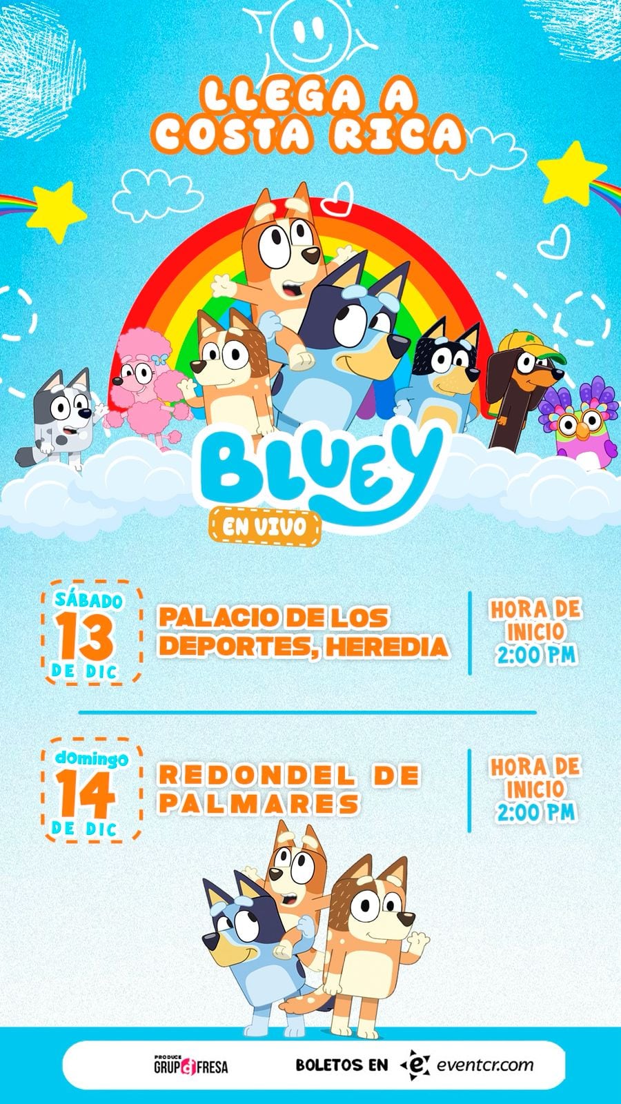 Bluey y Bingo