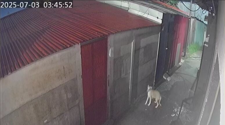 La balacera ocurrió en el barrio Nazareno en Ipis de Goicoechea.