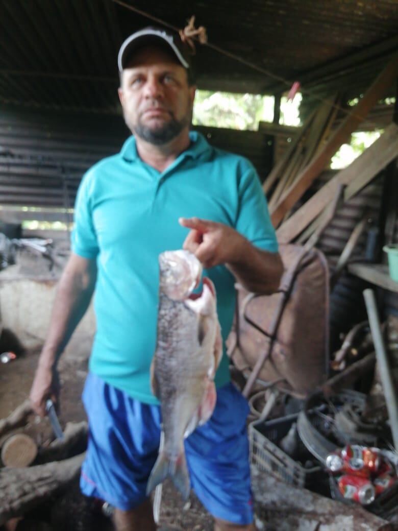 Ismael Vargas Quirós