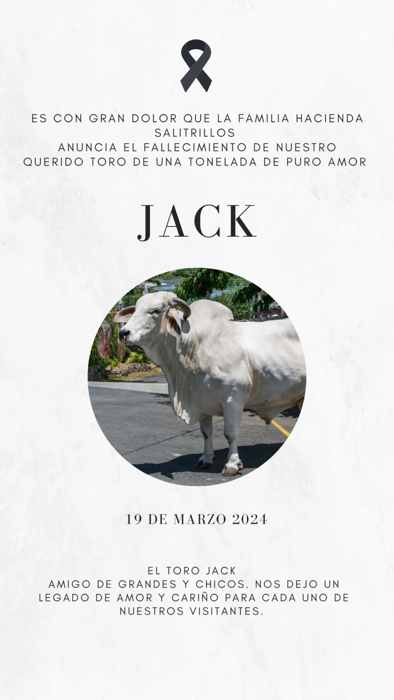 Toro Jack
Hacienda Salitrillos