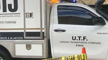 Hallan feto de animalito entre unas bolsas de basura