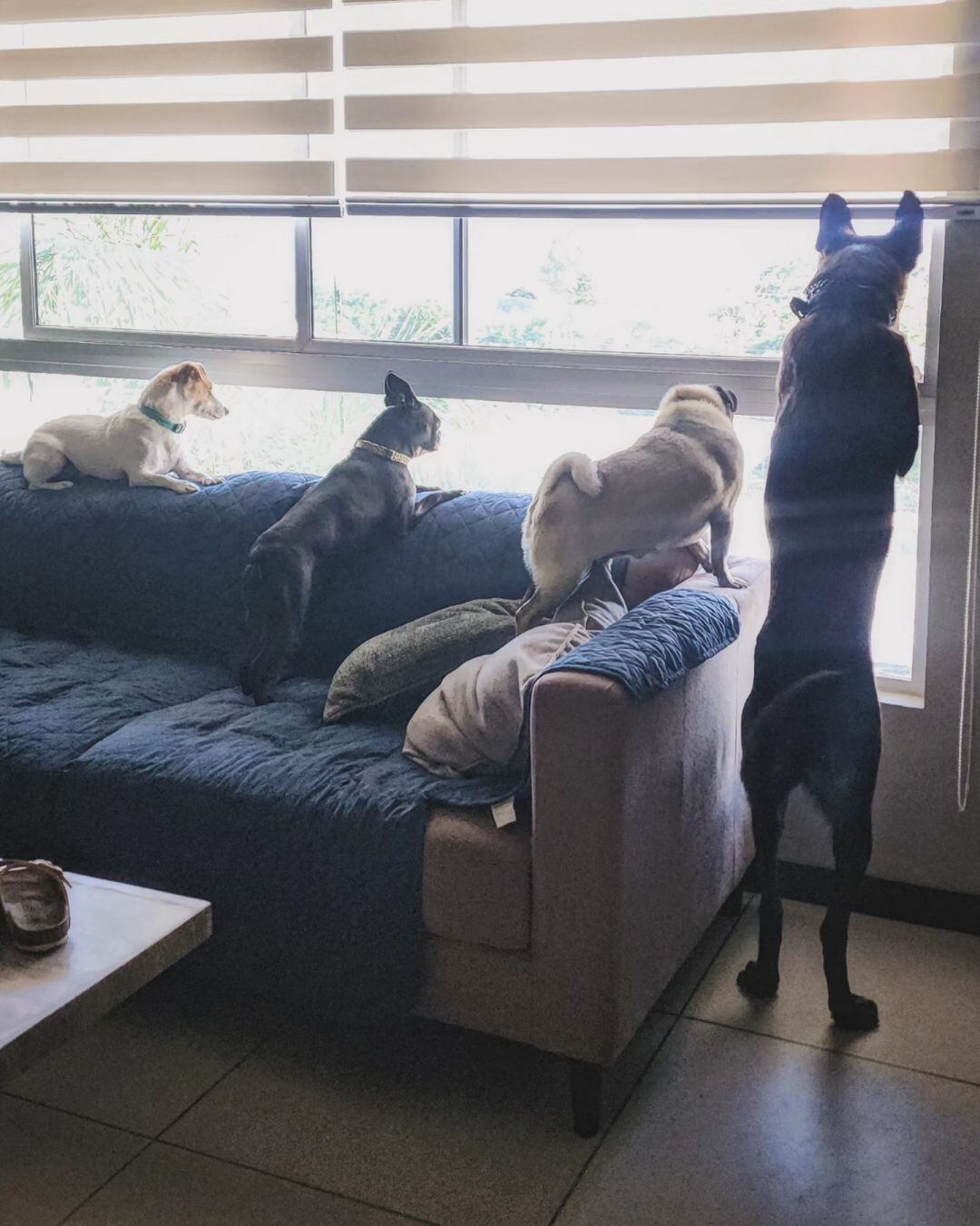 Viviana Calderón, expresentadora de televisión