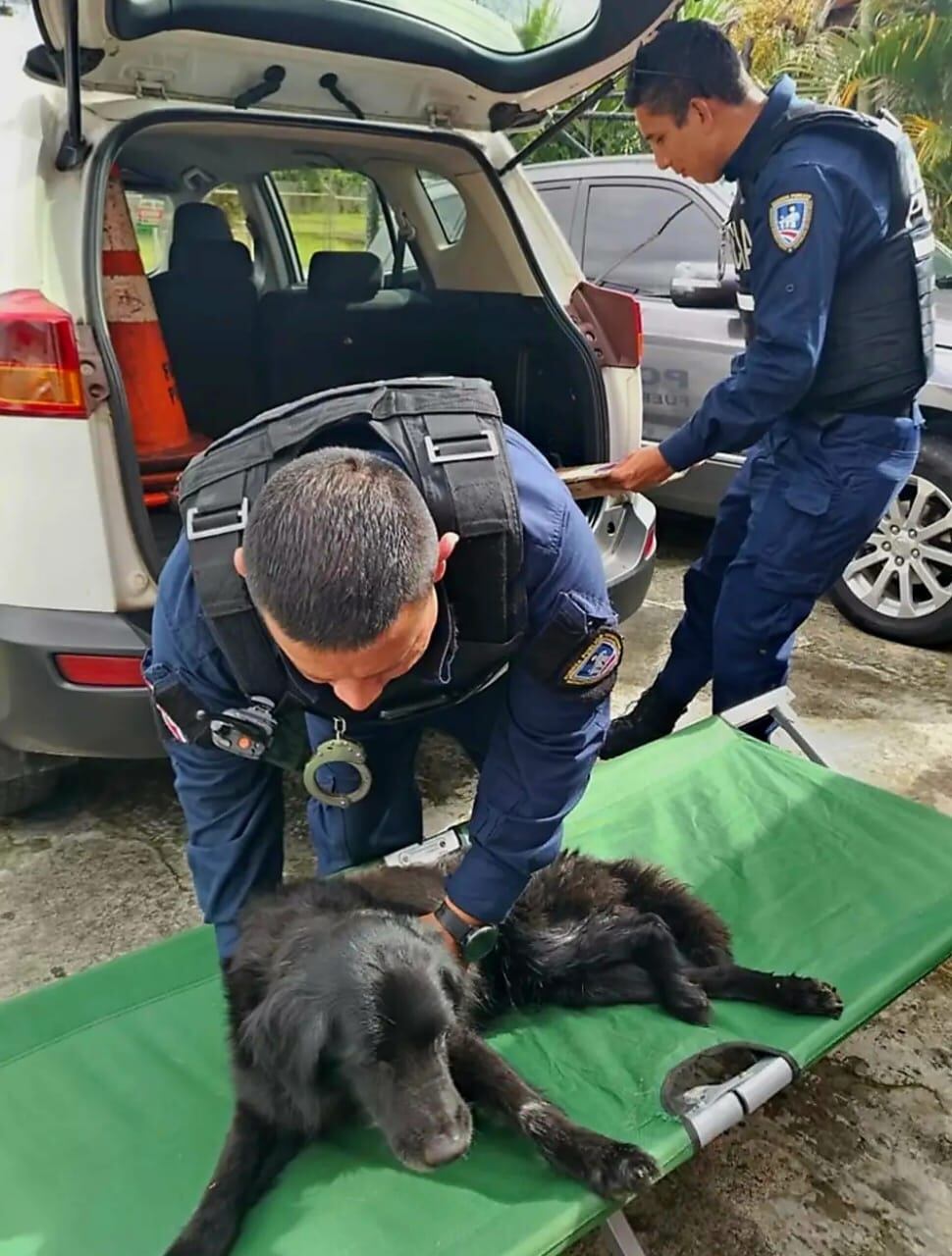 El perro fue rescatado por los policías en Montes de Oca.