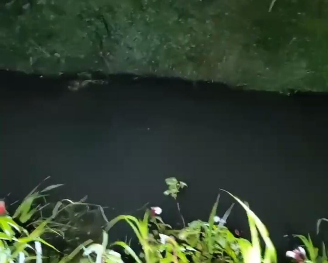 Carro se fue en laguna