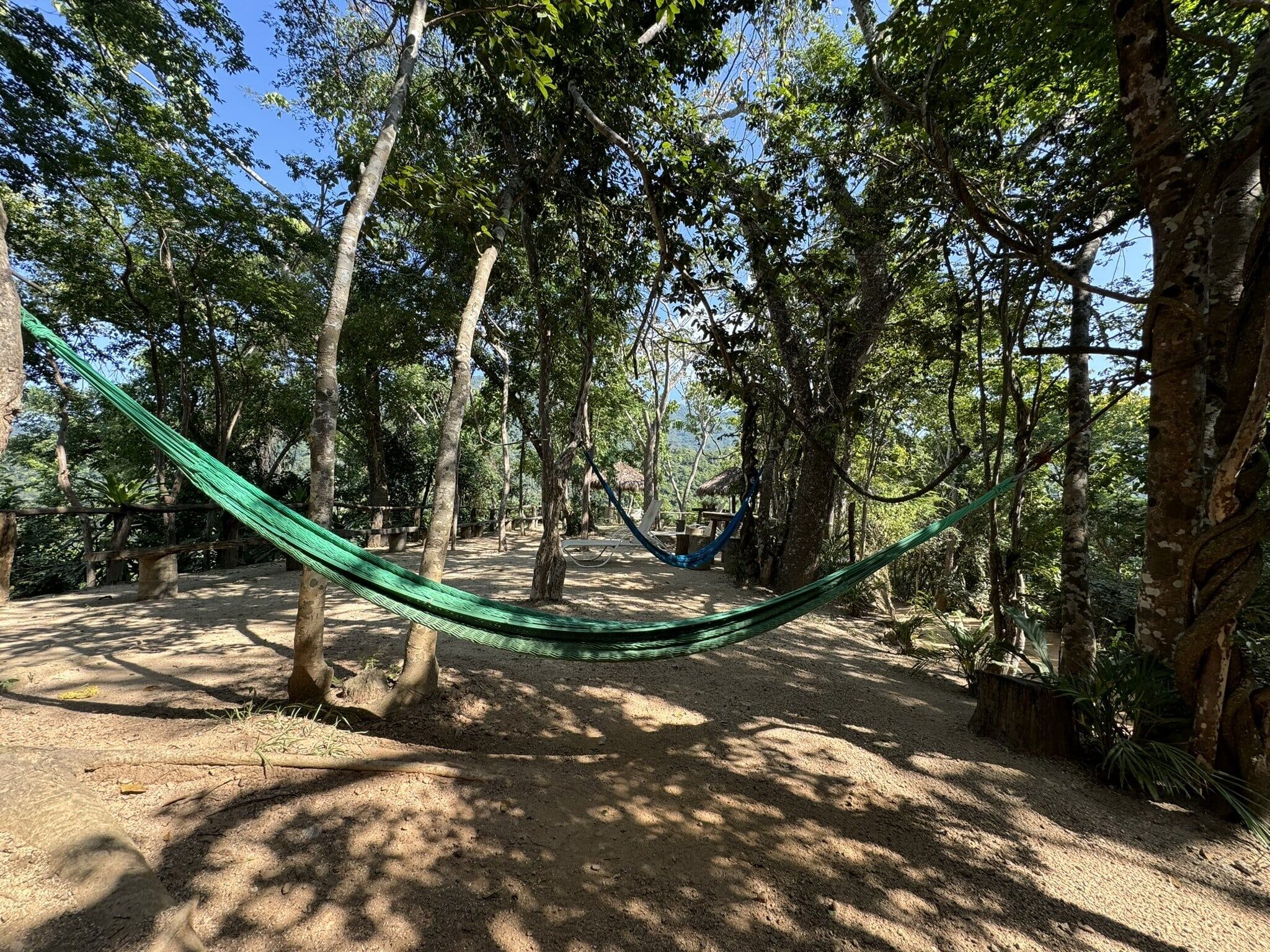 El puente colgante vehicular más largo del mundo está entre la naturaleza de México.