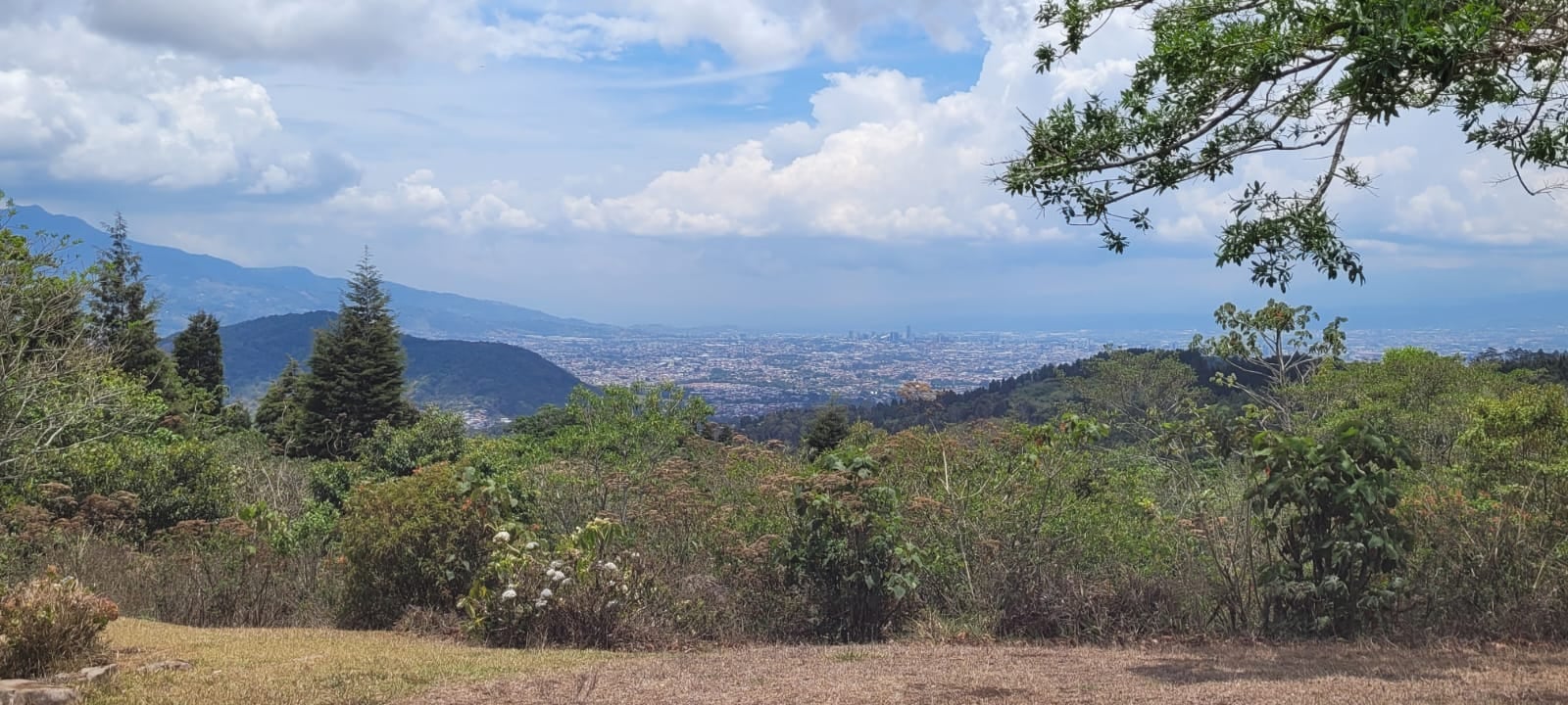 Los senderos de Finca La Cayetana recorren bosques y miradores naturales desde donde se aprecia gran parte del Valle Central.