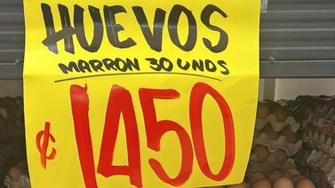 ¿Por qué bajó el precio del huevo? CANAVI explica la razón detrás del alivio en su bolsillo