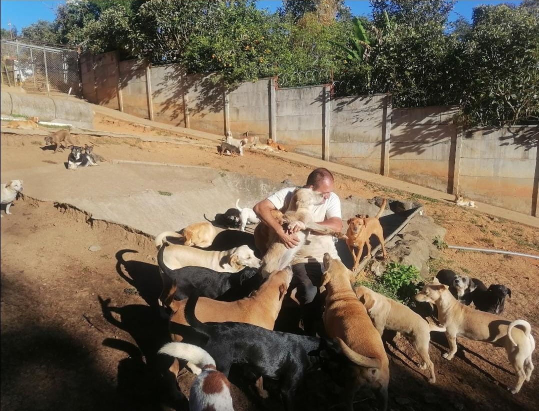 El sacerdote Alejandro Sandí tiene un refugio con 62 perros rescatados de la calle