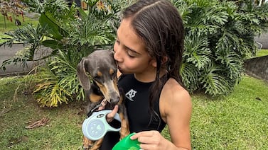 Limón 2026: Bonny, la perrita que brindó apoyo emocional a una nadadora en los Juegos Nacionales