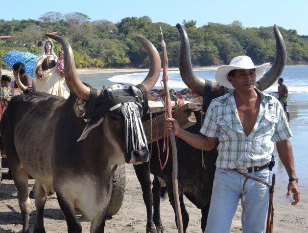 José Delfino Cubillo Castrillo, fallecido en triple colisión en Cervantes de Cartago. Foto cortesía Jacqueline Mora.