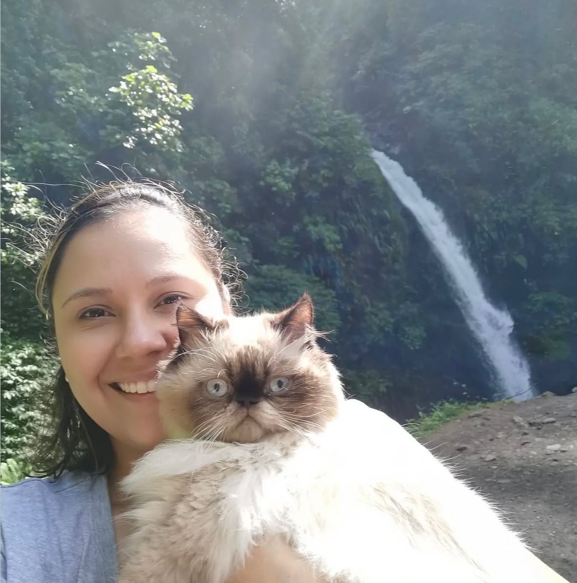 जेव्हा सांता बार्बरा डी हेरेडिया येथील रहिवासी ग्रेसिएला गोमेझ गोमेझने तिची स्वतःची मांजर घेण्याचा निर्णय घेतला, तेव्हा तिने कधीही कल्पना केली नाही की ती योडीसोबतच्या तिच्या आयुष्यातील सर्वात कठीण (आणि सर्वात परिवर्तनीय) लढाईत उतरणार आहे.