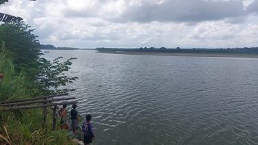 Cruz Roja suspende búsqueda de hombre que fue atacado por cocodrilo