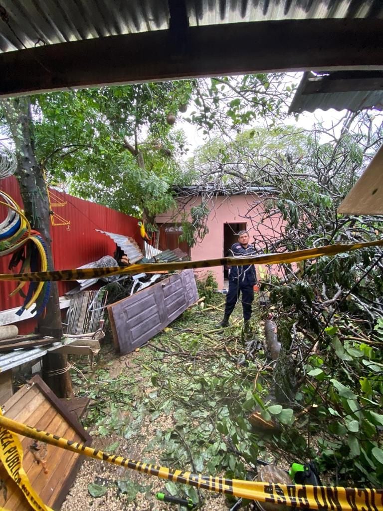 Joven de 23 años y niña de 3 años mueren tras caída de árbol sobre casa en Guanacaste.