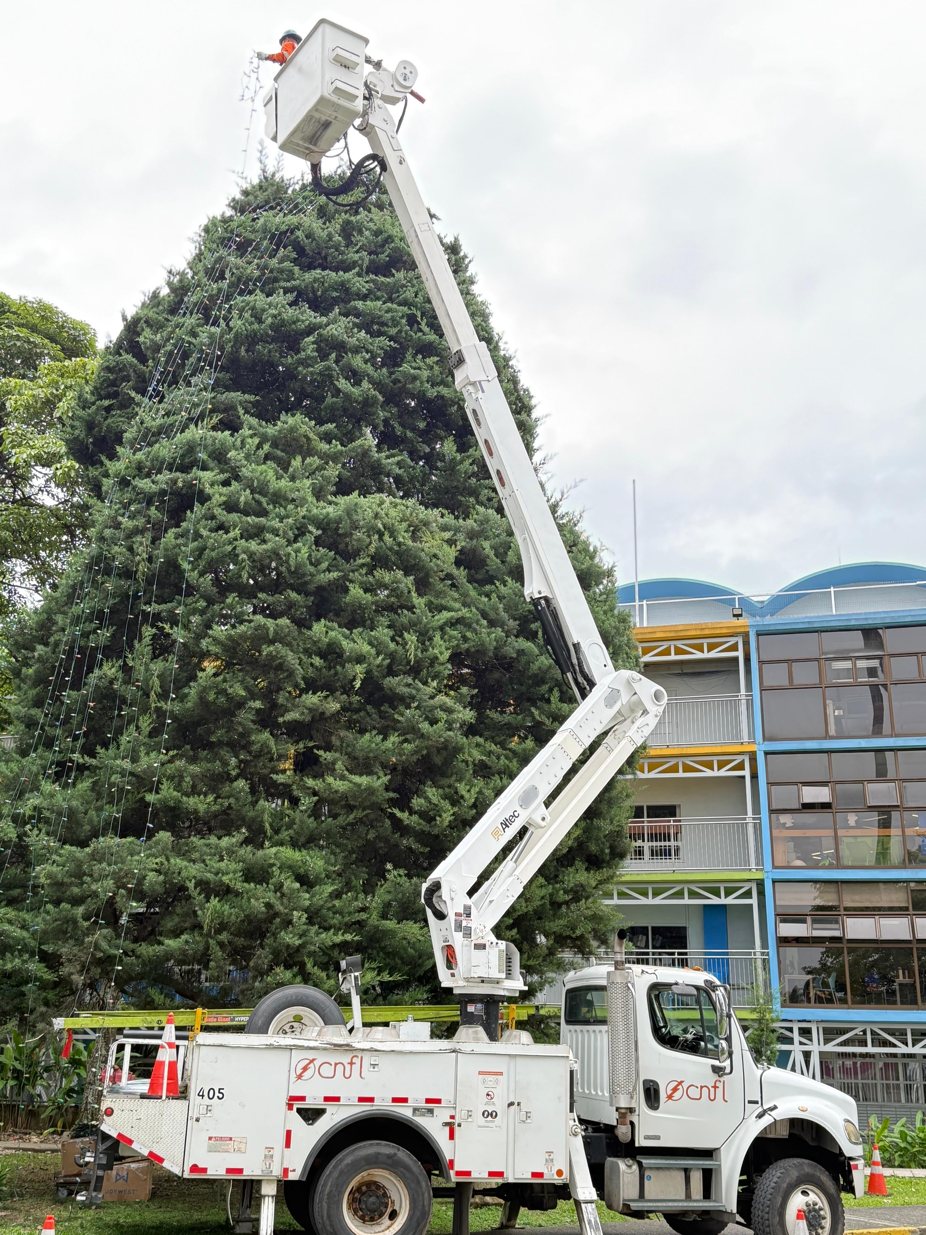Navidad 2025: La Compañía Nacional de Fuerza y Luz, en noviembre, inició la colocación de luces en el árbol del Hospital de Niños que tendrá su iluminación oficial el 4 de diciembre