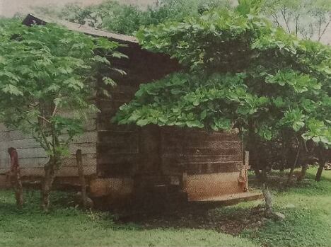 Gerardo Carballo asesinado para robarle