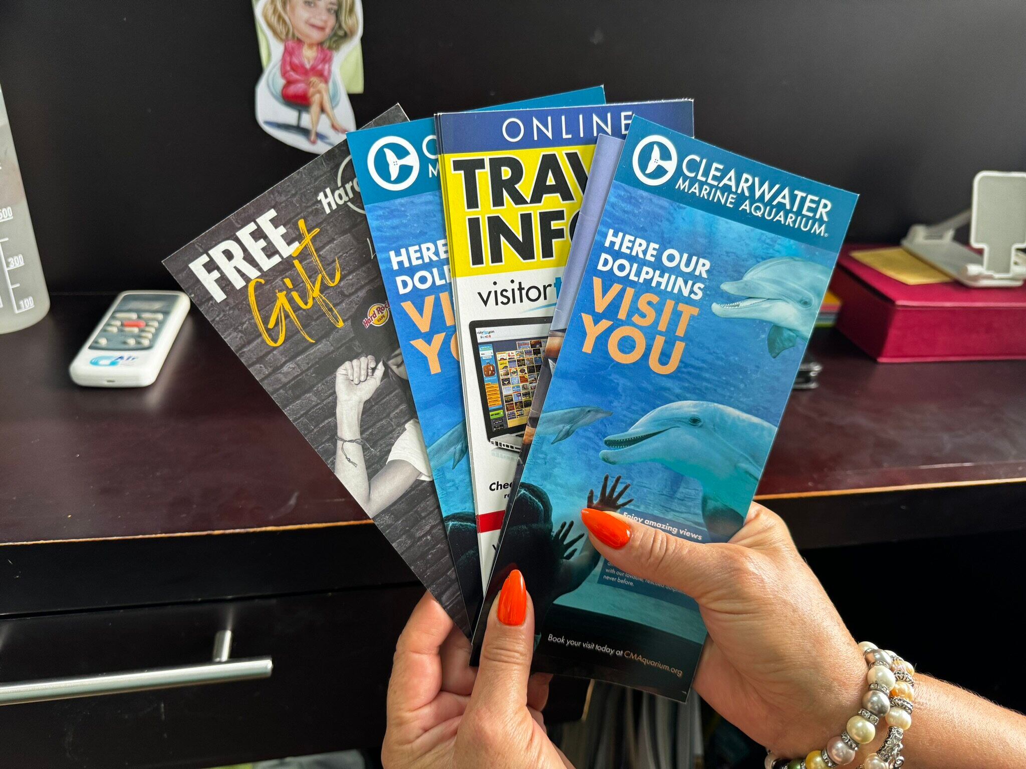 DM Viajes le ofrece experiencias inolvidables a precios accesibles. Foto: Yerlin Gómez