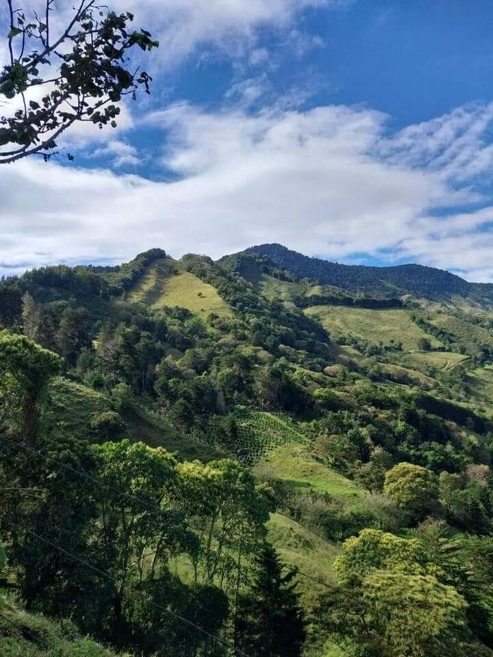 Este tour le será útil para prepararse para ir al cerro Chirripó.