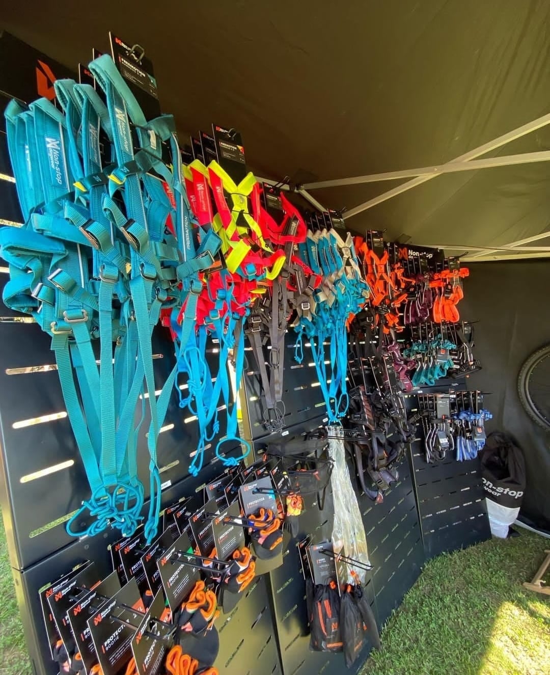 Campeón de canicross en Costa Rica promoverá el deporte en Viva Feria de Mascotas.