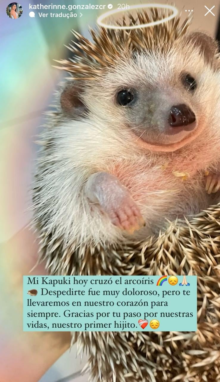 Katherinne González
imitadora
pelando el ojo
Repretel