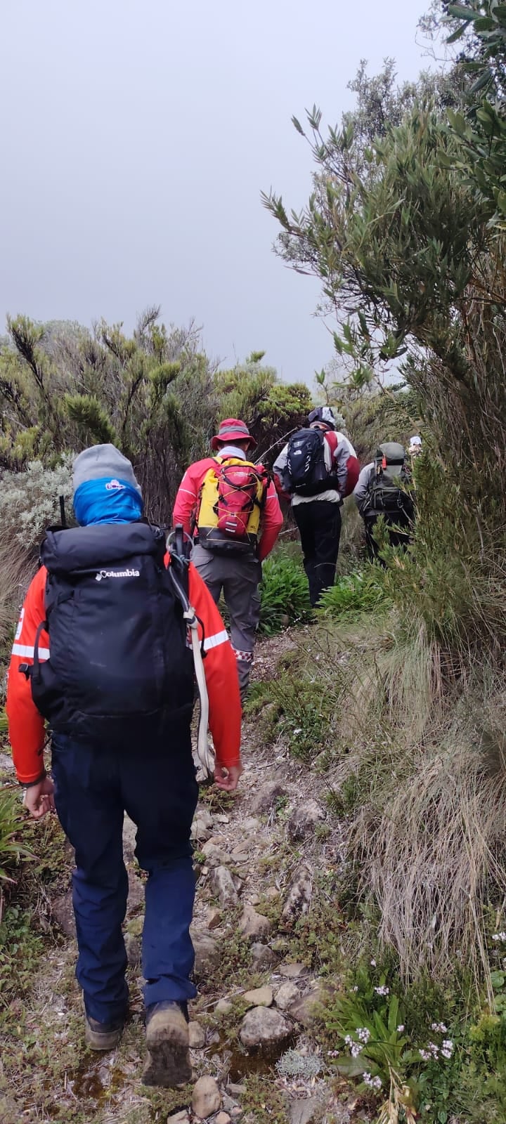 Búsqueda de Reinaldo Pineda Lizano, de 58 años, en el Chirripó. Foto: SINAC