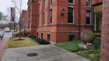 ¿Se la llevaron engañada? La particular historia de cómo una esfera piedra llegó a la Universidad de Harvard