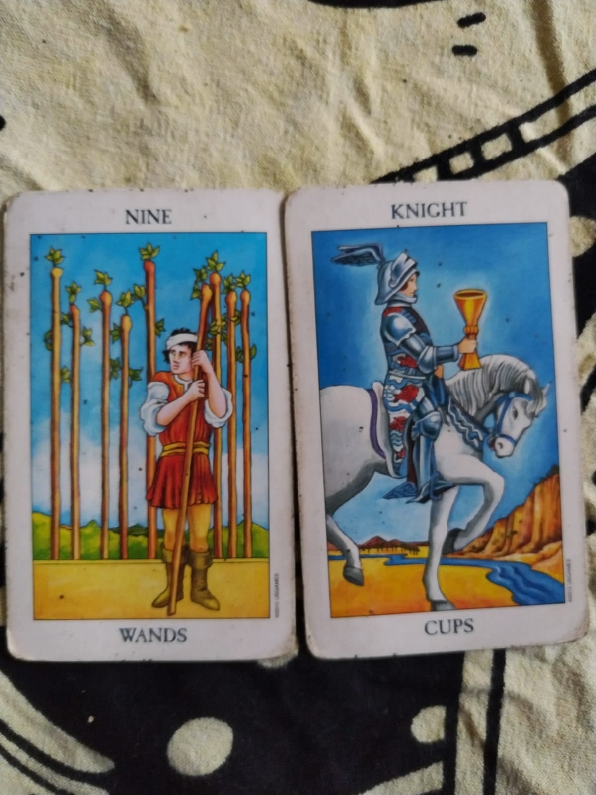 El pasado lunes 2 de diciembre, a eso de las 2:40 de la tarde, en el consultorio de Mithzi Bonilla, popularmente conocida en redes sociales como Mithzi Tarot, le tiramos las cartas al Gordo Navideño