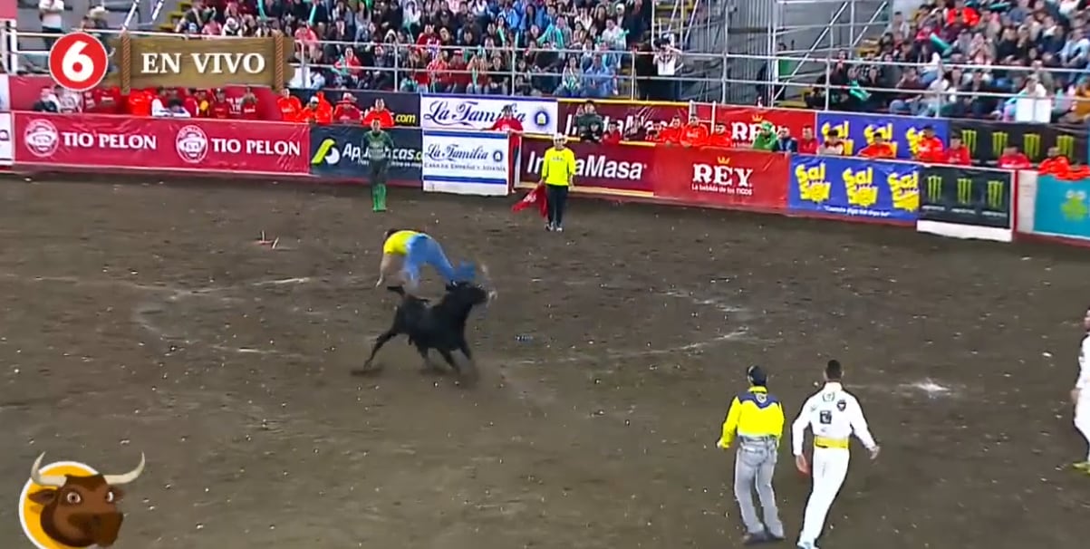 A Ítalo Marenco no le quedó de otra que pedirle perdón a su esposa, Cindy Villalta, luego de algo bastante arriesgado que hizo en Toros del 6 y que le pudo haber costado la vida.