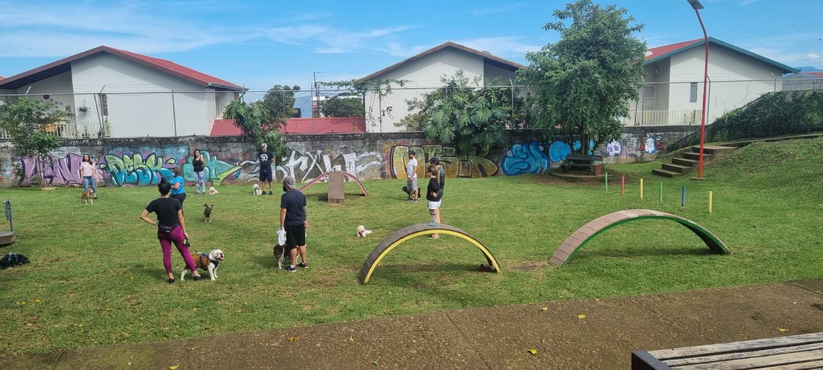 Municipalidad de Curridabat logró casi eliminar los perros callejeros