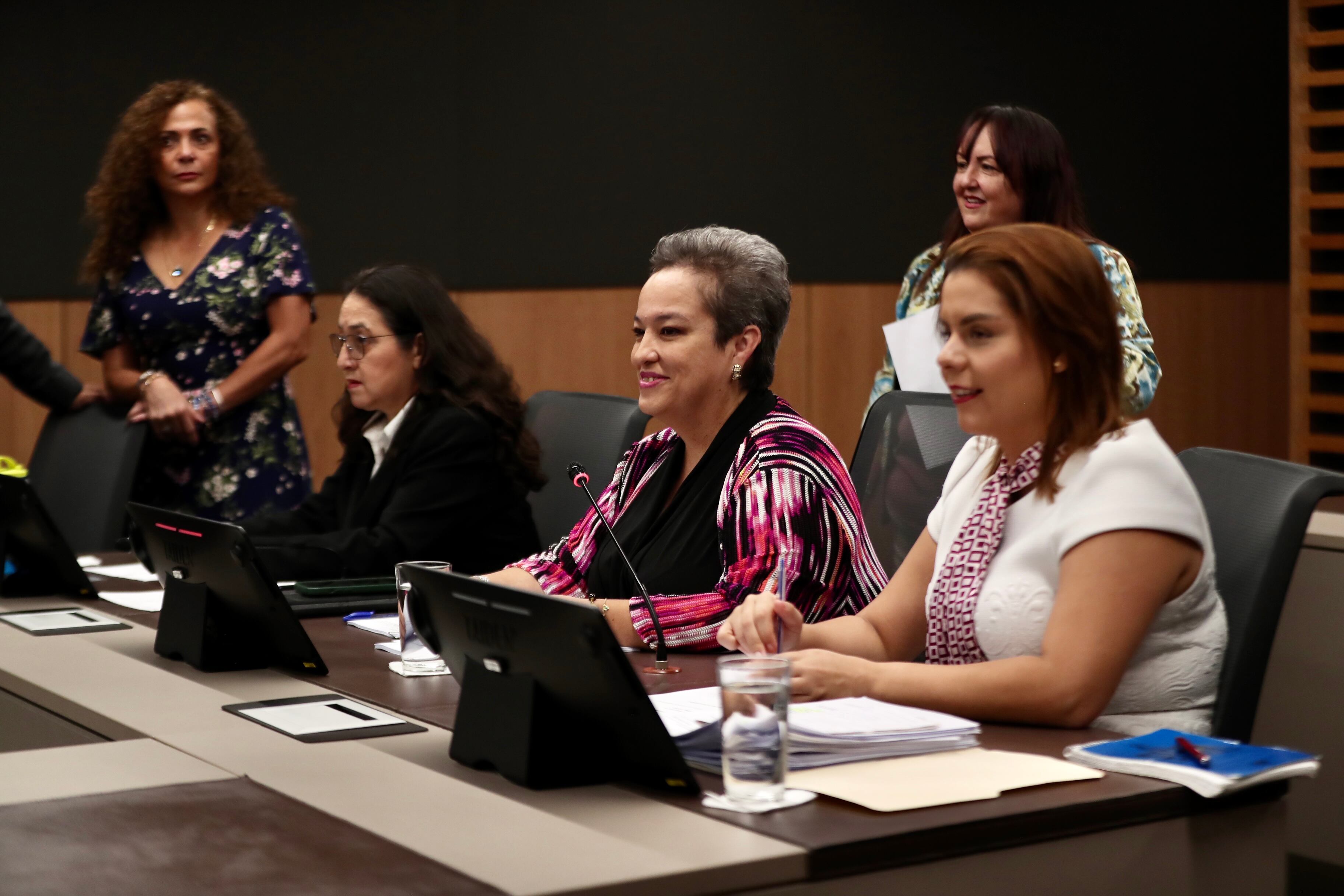 Carolina Delgado, presidenta de la Comisión de la Mujer, resaltó el trabajo en favor del protocolo de atención de violaciones.