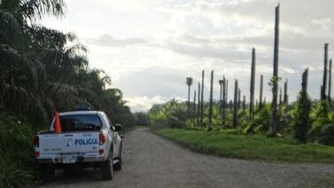 Con hojas de palma intentaron ocultar cruel asesinato que sufrió una joven mamá