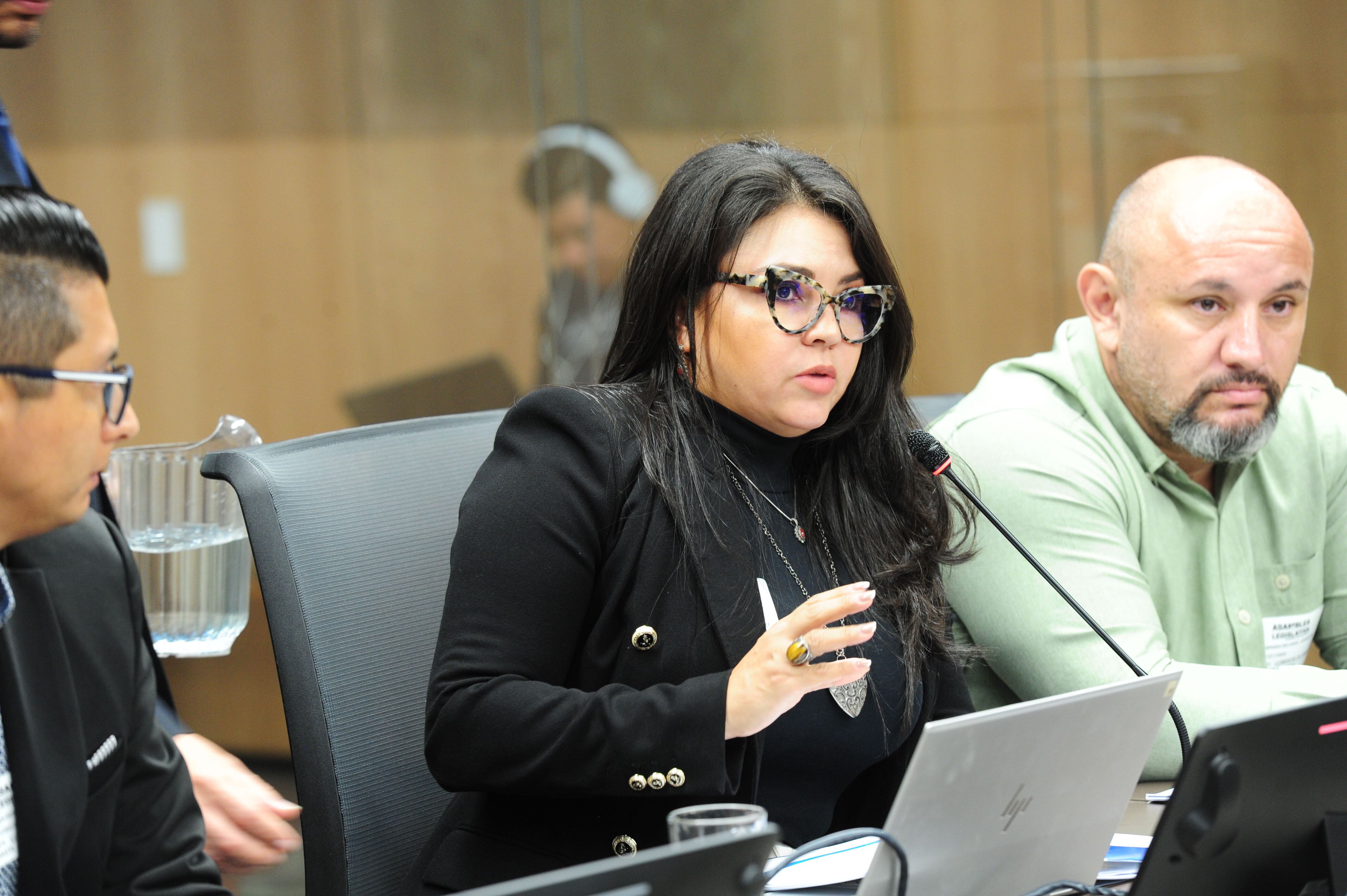 Asamblea Legislativa, Comisión SINART