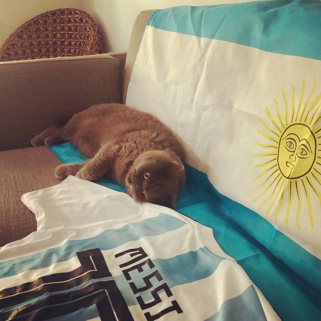 Analía Verónica Beatriz Díaz  es argentina se vino a  Costa Rica a una boda, pero se trajo toda la cábala para apoyar a a la Albiceleste. Cortesía.
