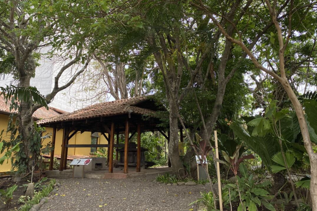 Museo Nacional se unirá al Festival Transitarte con una gran sorpresa para todos.