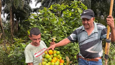 Hijo vivió el momento más amargo de su vida al presenciar el accidente en carretera que mató a su papá