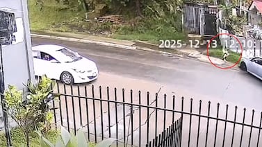 Video muestra el horroroso atropello que cobró la vida de hombre que estaba haciendo ejercicio