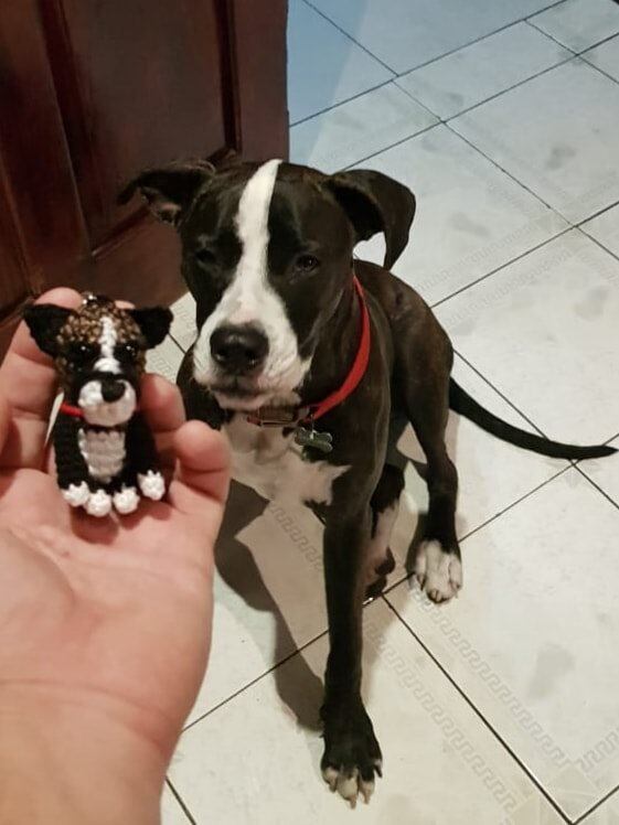 Jennifer Pérez hace réplicas de peluditos tejiéndolos