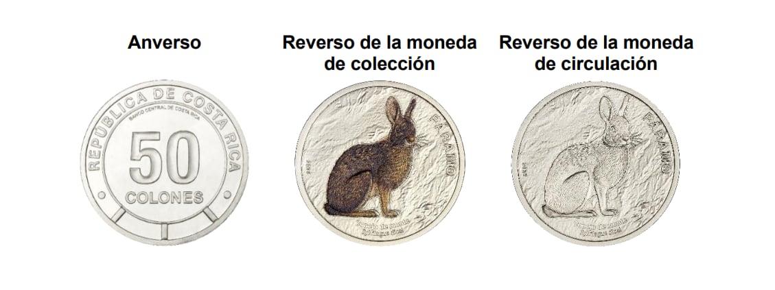 Moneda coleccionable alusiva al conejo de monte