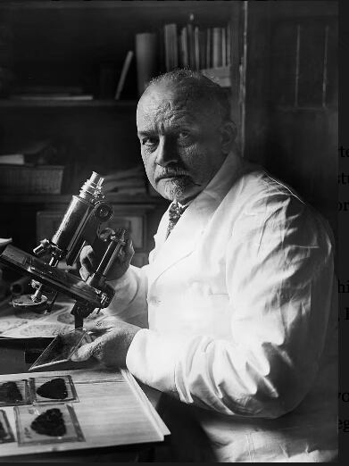 Tomada de La Nación de Argentina