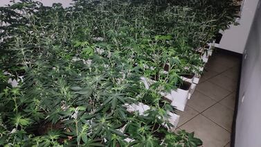 Bomberos recibieron una alerta de incendio y descubrieron un laboratorio de marihuana