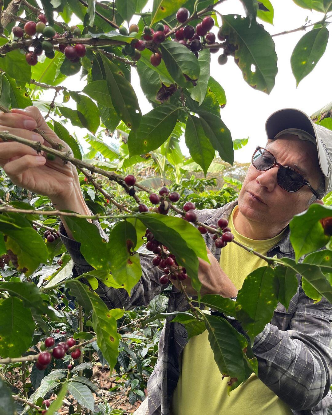 Edgar Silva, periodista y productor de café y aguacate.