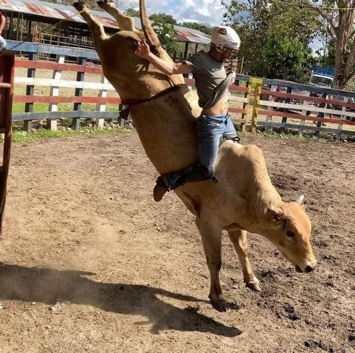 Gustavo Araya, montador de toros que murió en accidente de tránsito.