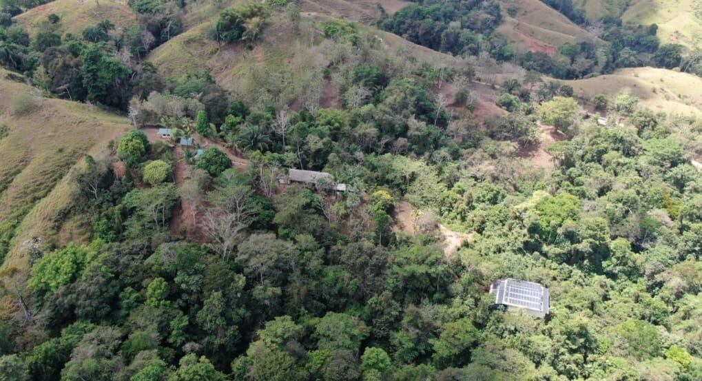 PCD desmantela laboratorio de marihuana hidropónica más grande del país. Foto MSP.