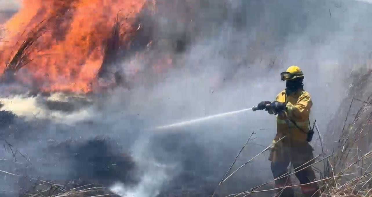 Bomberos atienden extensa quema de charral en Santa Ana.