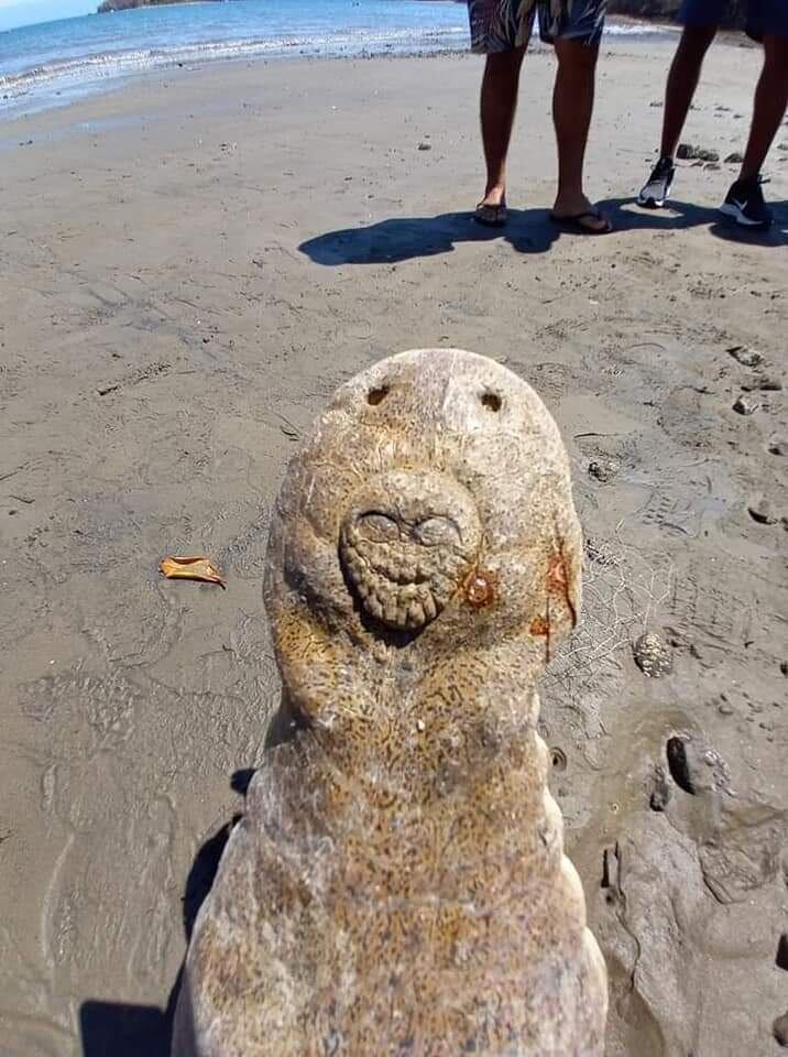 El gran cocodrilo de dos metros de largo que fue encontrado el pasado 17 de marzo por unos pescadores en la playa de Paquera, Puntarenas, podría tener en su hocico, un mensaje oculto de extraterrestres que quieren comunicarse con nosotros los humanos
