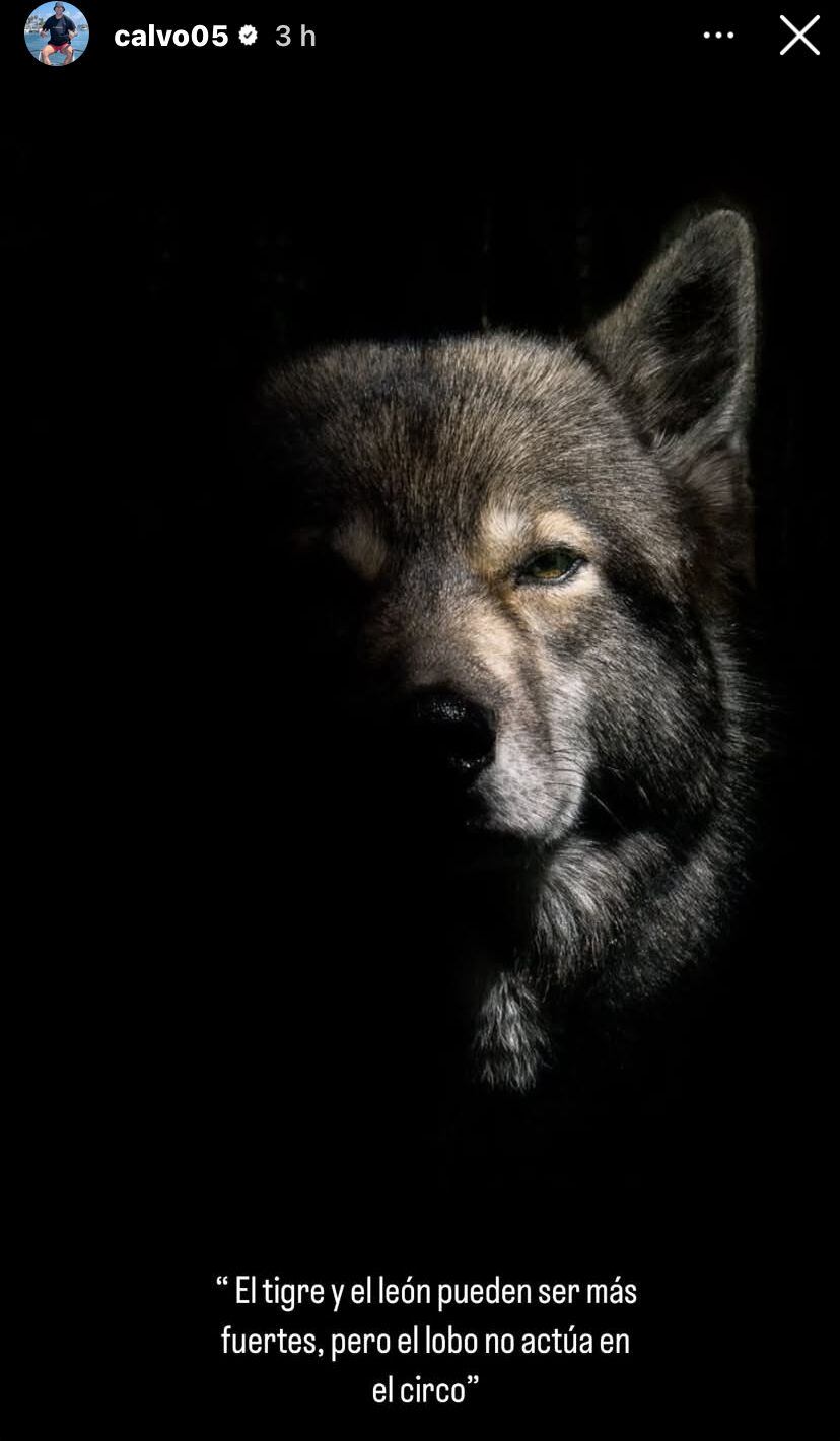 Historia de Francisco Calvo