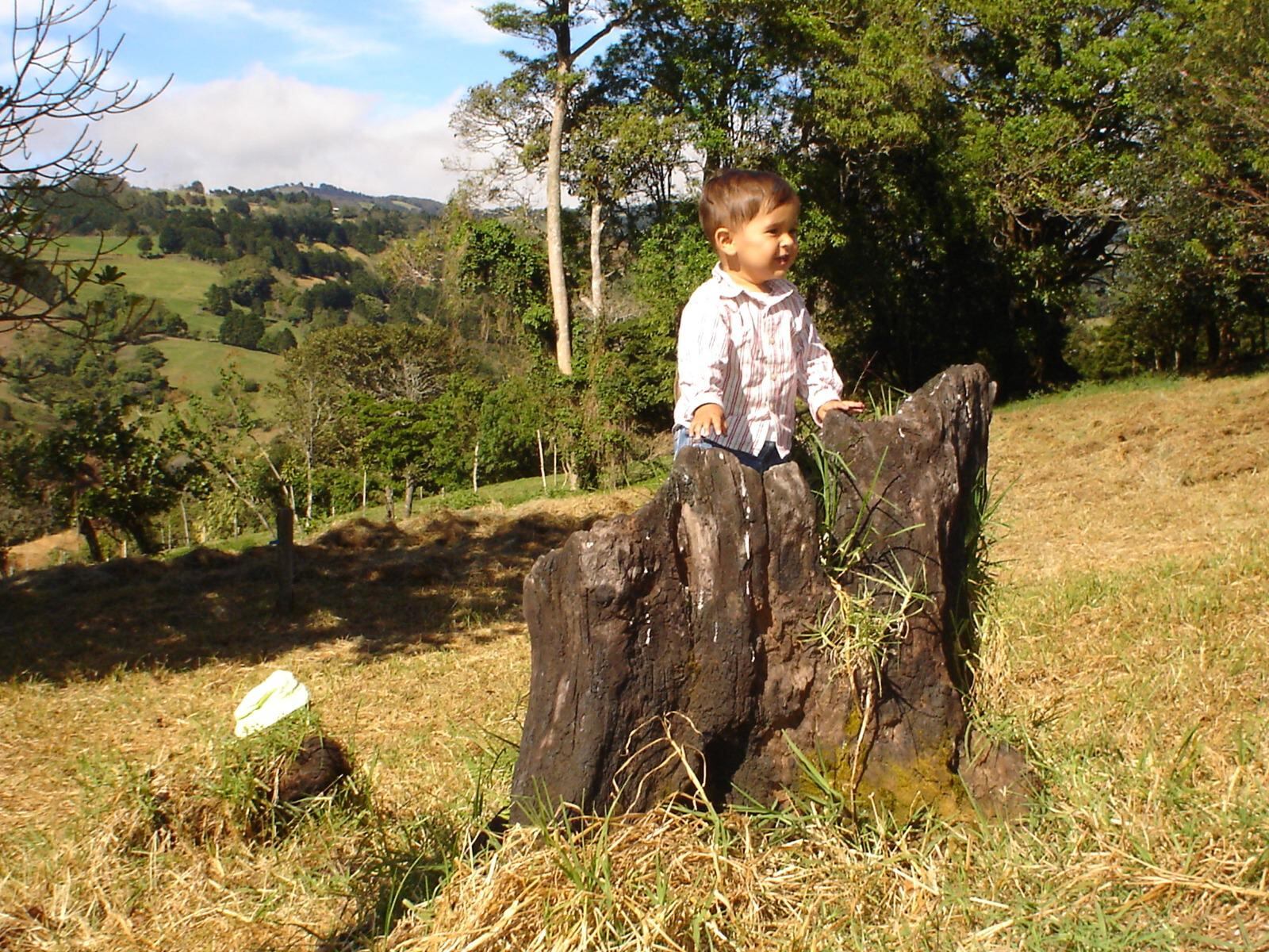 En Barranca de Naranjo, un pueblito escondido en la parte alta de la zona rural alajuelense, donde se respira olor a zacate fresco y la noche se ilumina con estrellas, nació y creció Samuel Villalobos Vargas quien estudia Ingeniería en Biotecnología y está a punto de hacer algo histórico: es el primer estudiante de su carrera y del TEC que irá a realizar su trabajo final de graduación al Instituto Karolinska, en Suecia, donde se define el Premio Nobel de Medicina