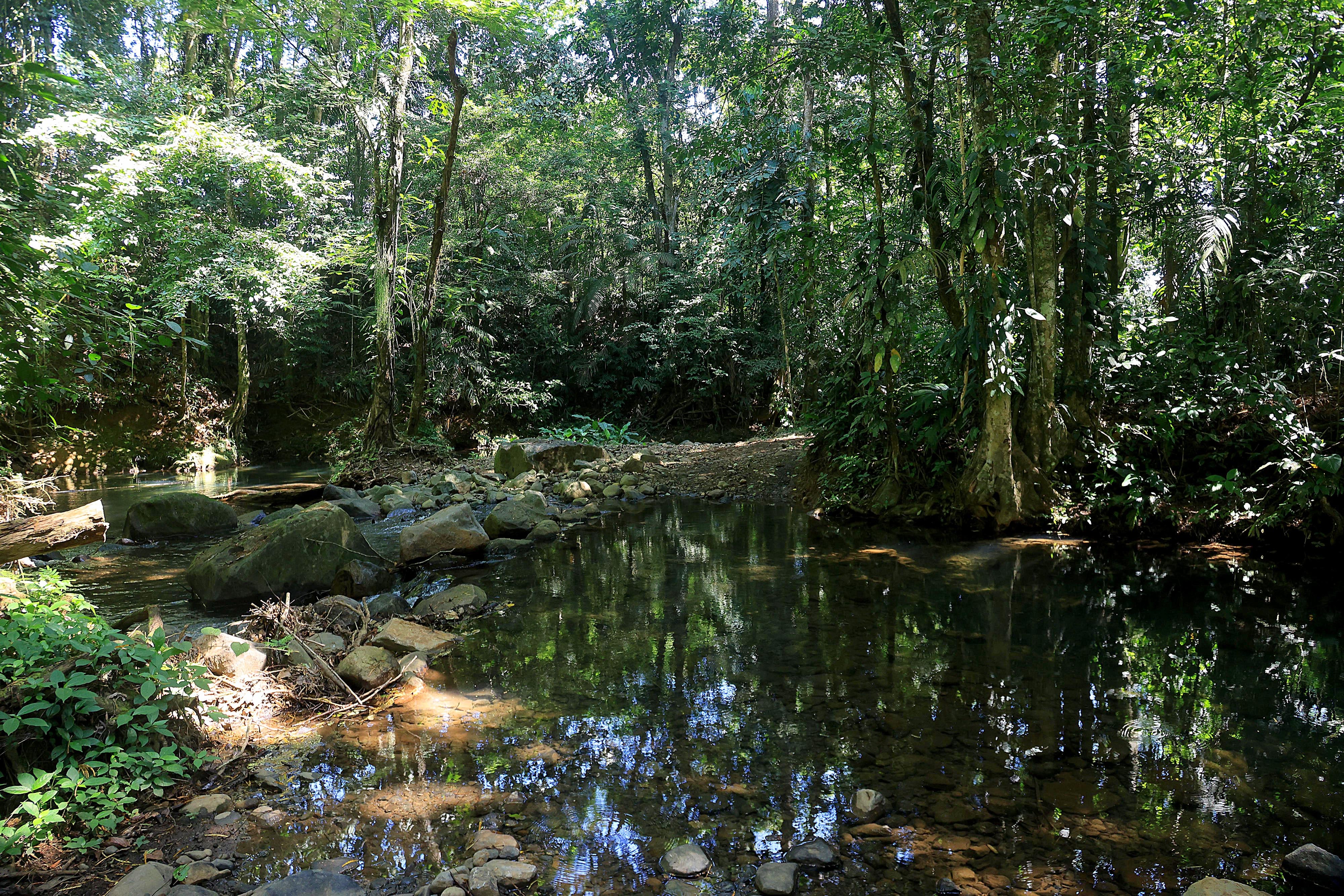 06/03/2024 Río Cuarto de Alajuela. Hotel del Bosque, ofrece caminatas por senderos naturales, servicio de restaurante, gimnasio, canchas y áreas al aire libre para practicar deporte, incluyendo una piscina natural. Foto: Rafael Pacheco Granados