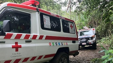 Una niña de 3 años murió ahogada al caer en una lavadora en Turrialba